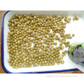 Best Bulk Canned Green Peas In Brine